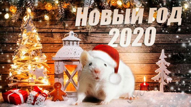 2020 - год Белой металлической Крысы